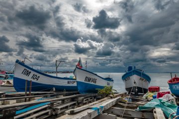 Following a spate of recent drone attacks off the coast of Bulgaria and Romania, the Black Sea region is becoming a major new security front for Europe, with knock-on concerns for food security.